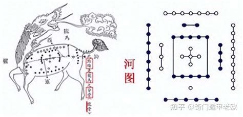 震木|乾、兑为什么属金？震、巽为什么属木？